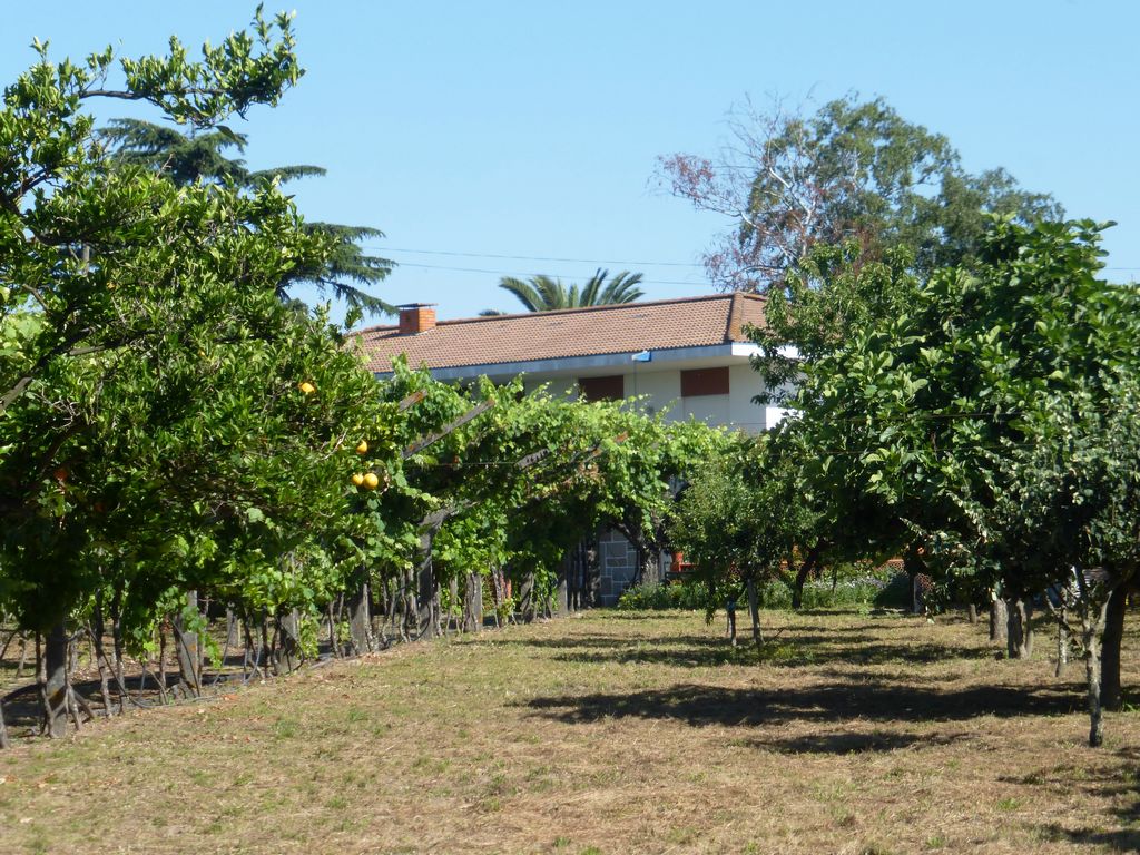 Farm